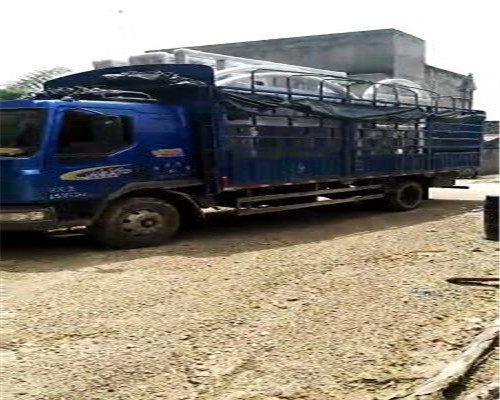 物流供應(yīng) 里水到全州縣貨運(yùn)推薦2021 免費(fèi)提送